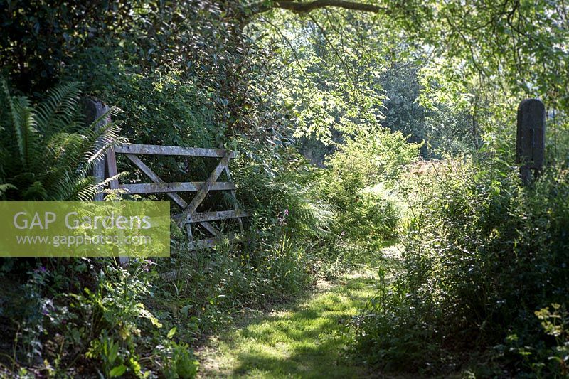 The Garden House, Devon, five bar gate leading in to sunny wild woodland garden area