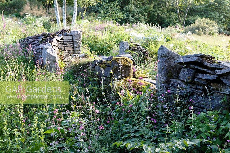 The Garden House, Devon, wild flower meadow planting in summer