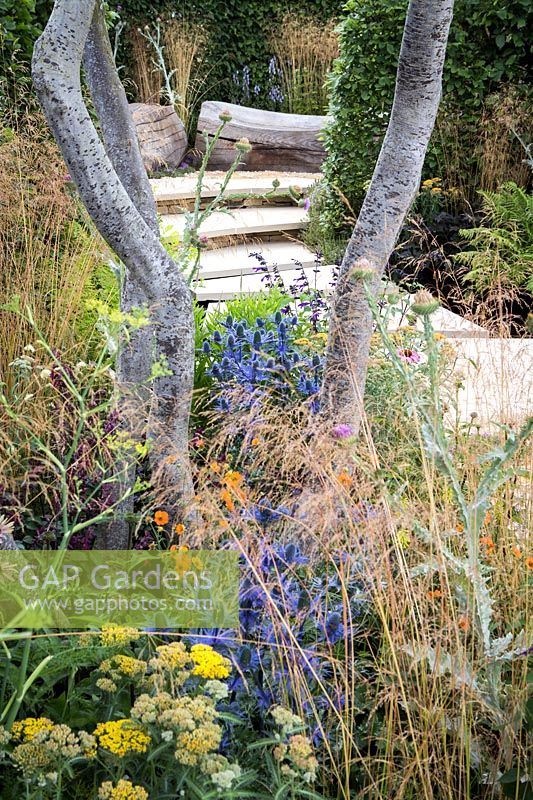 Hampton Court Flower Show, 2017. 'Watch this Space' garden, des. Andy Sturgeon. Informal perennial planting in small courtyard garden with paved steps