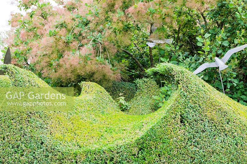 Topiary wave-form hedge in Buxus sempervirens crafted by Head Gardener Andrew Woolley. Seagulls by Diane MacleanFarleigh House, Farleigh Wallop, Hampshire. June. Designer Georgina Langton.