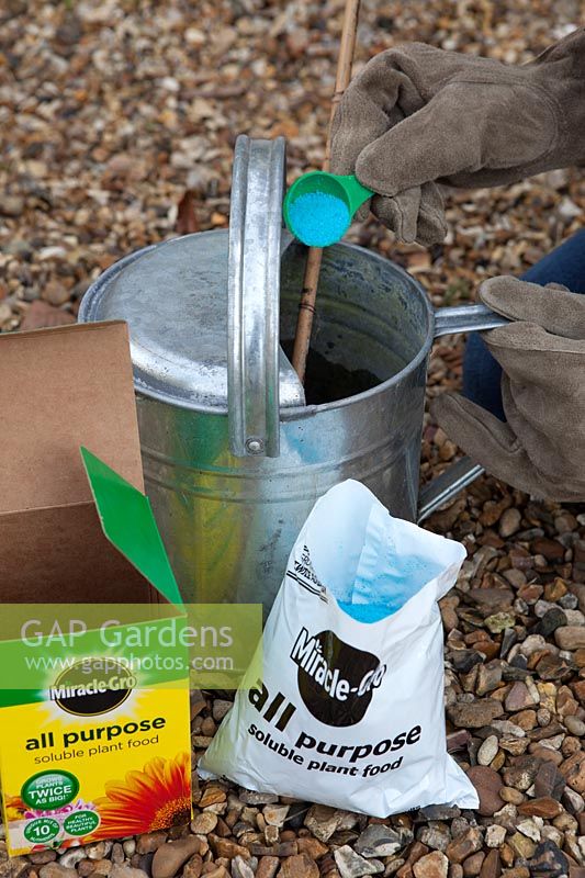 Mixing general purpose soluble fertiliser in watering can