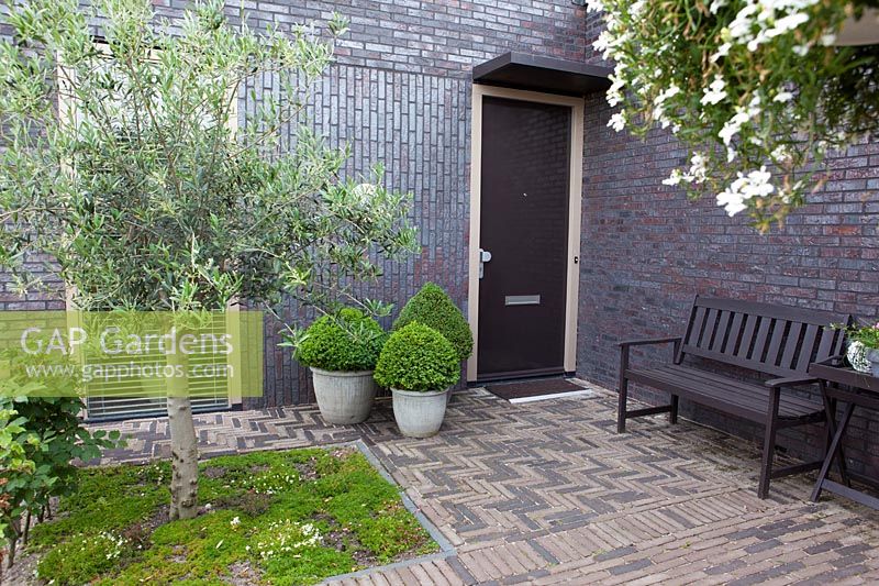 Low maintenance front garden showing entrance to the house. Containers with Buxus.
