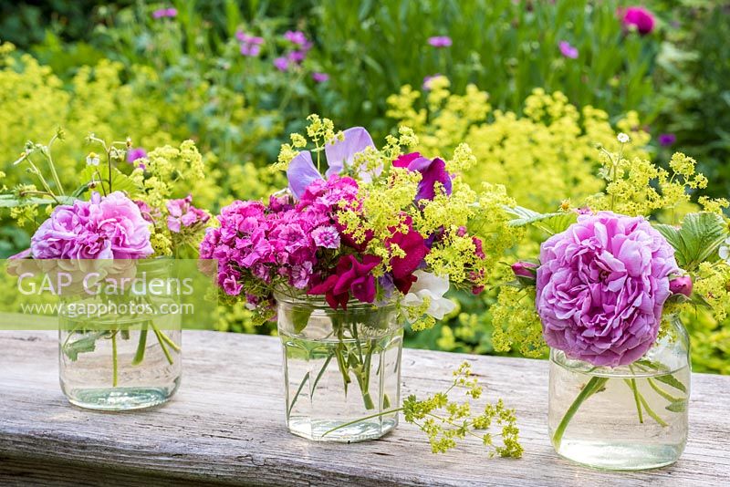 Summer floral arrangement in glass jarswith alchemilla mollis, Dianthus barbartus, sweet peas and fragaria barbartus