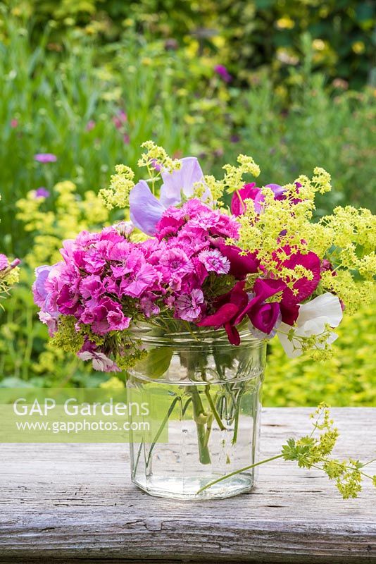 Summer floral arrangement in glass jar with alchemilla mollis, Dianthus barbartus, sweet peas and fragaria barbartus