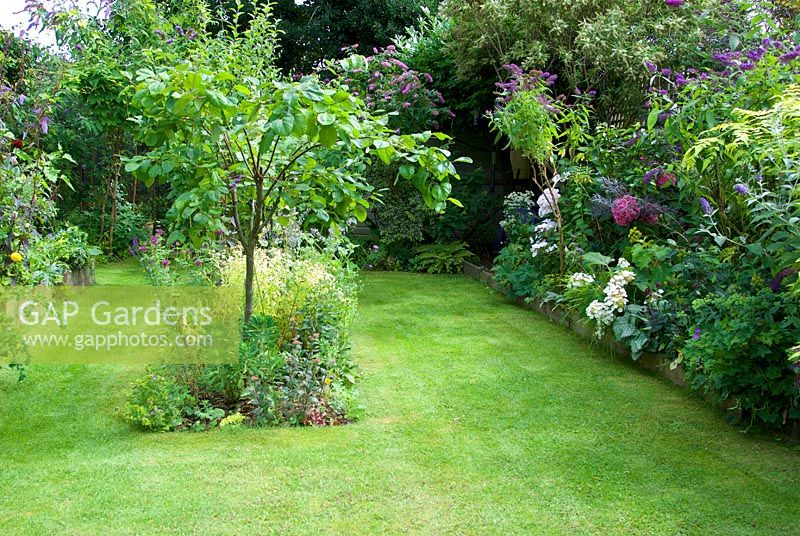 view of garden with small tree and flowering shrubs