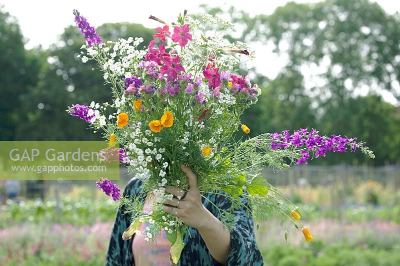 Woman picking and showing the flowers in the field.