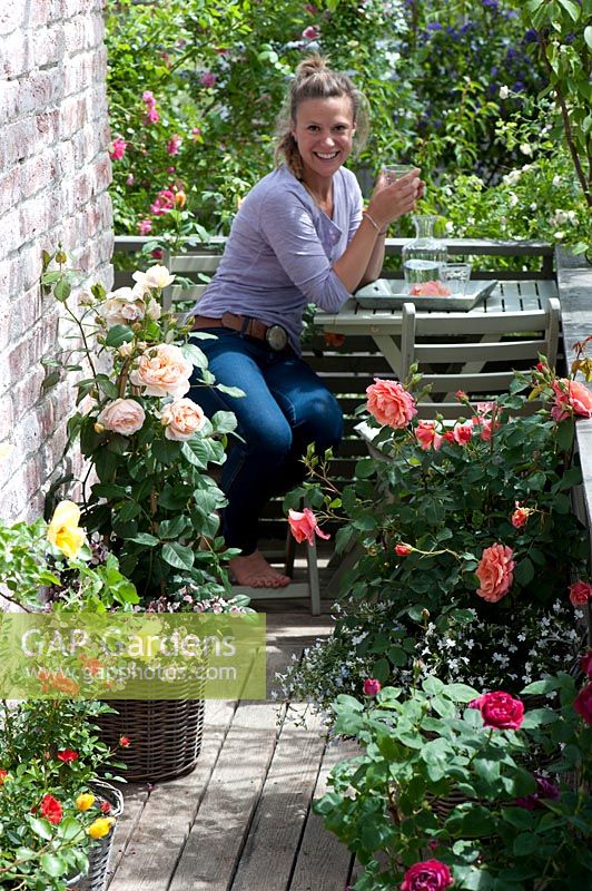 Woman enjoying a refreshment on balcony surrounded by pots containing Rosa and Diascia