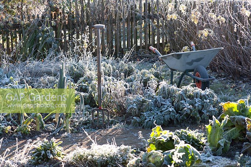 Frozen vegetable and herb garden with fork and wheelbarrow
