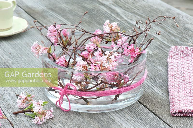 Table decoration with Viburnum bodnantense 'Dawn' in glass bowl