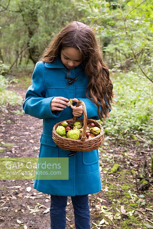 Young girl holding basket of picked conkers