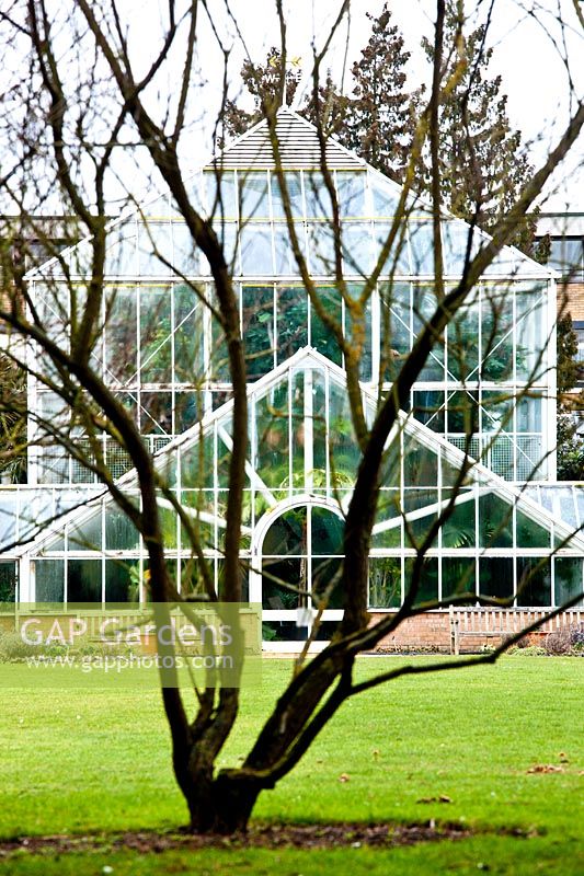 Glasshouse viewed through bare branches of tree. Cambridge University Botanic Garden. Cambridge. UK