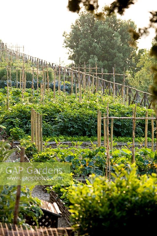 Vegetable garden. Castiglion del Bosco. Tuscany. Italy