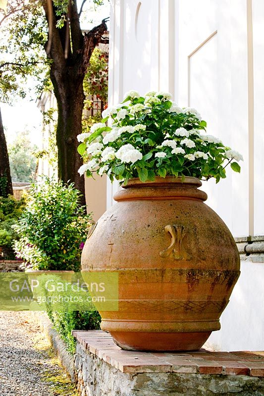Ornate urn. La Limonaia Garden. Designed by Arabella Lennox Boyd. Fiesole. Florence. Italy