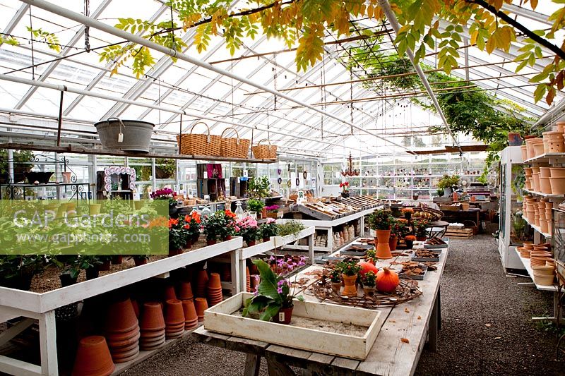 Inside greenhouse. Rosendals Tratgard. Stockholm. Sweden
