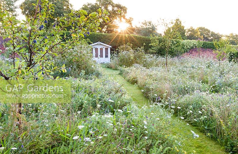 A grassy path leads to a summerhouse, while wildflowers, supplied by Wildflower Turf Ltd, flower beneath an orchard of Pear, Apple and Plum trees in a modern Cheshire country garden, designed by Louise Harrison-Holland.