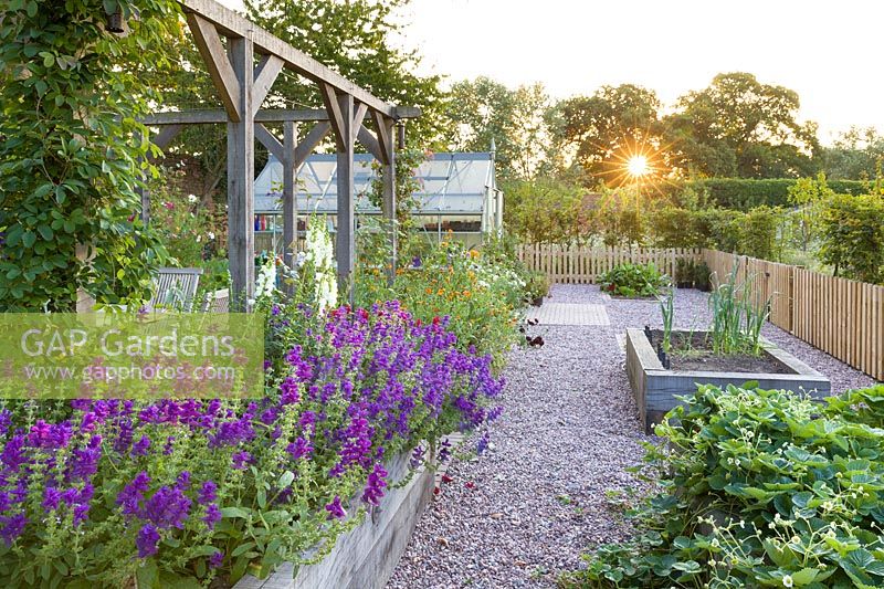A greenhouse and raised beds for fruit, vegetables and cut flowers in a modern Cheshire country garden. It was designed by Louise Harrison-Holland. Plants include Salvia viridis and Antirrhinums.