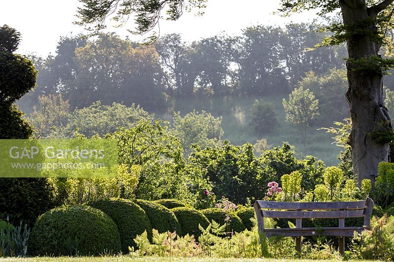 Hanham Court Gardens, Bristol. Early summer garden with topiary and rustic wooden bench