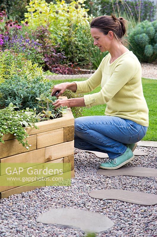 Woman tending to Summer planted wooden raised bed