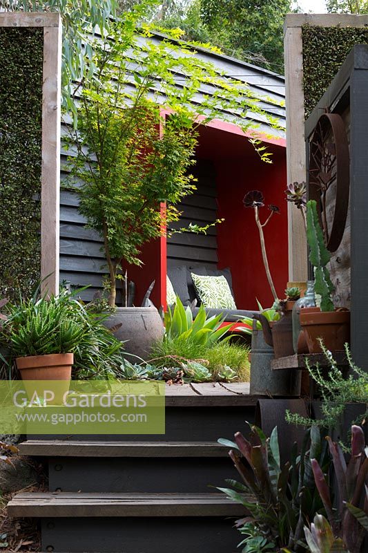 Timber steps leading up to a red painted sitting pod mounted on a black painted timber wall. Freestanding timber green screens, planted with Muehlenbeckia complexa. A large pot with an Acer palmatum, Japanese Maple.