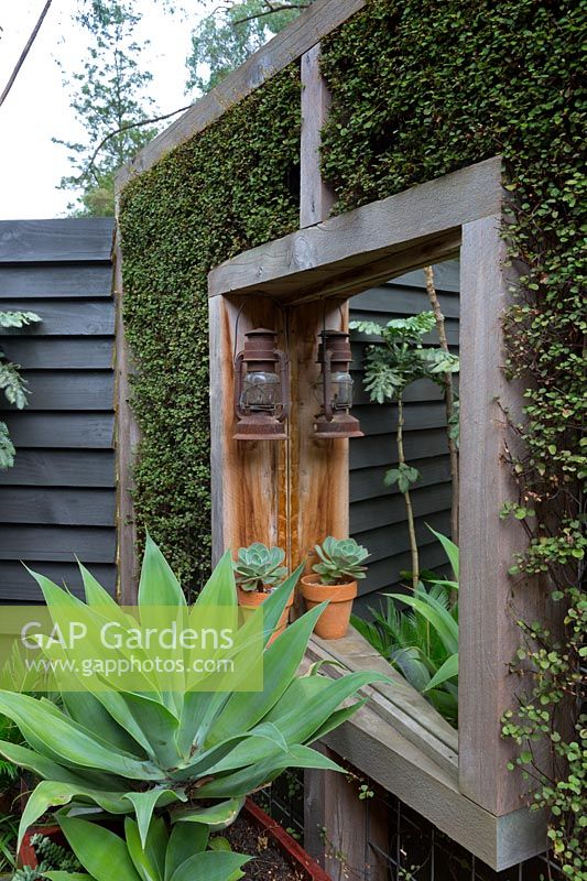 Timber screen interplanted with Muehlenbeckia complexa, wire vine, to make a green screen, with a mirror to give the illusion of space. A large potted Agave attenuata, Century plant.