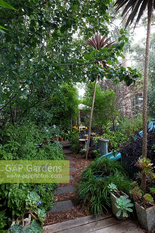 Bark path with charcoal grey stepping stones leading to a covered entertaining area surrounded by shrubs and plants.