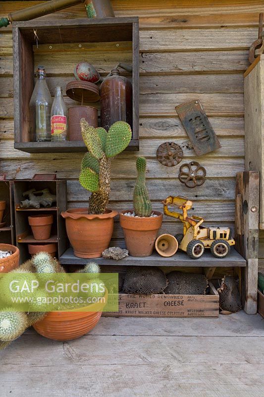 Rustic timber wall and shelf with a collection of potted cactus, a toy excavator and old farm ephemera.