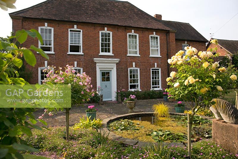 The front of the house dates to Queen Anne and is planted with standard roses 'Anne Boleyn' and 'Graham Thomas'
