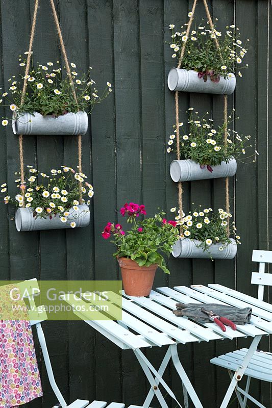 Metal tiered wall hanging containers planted with Erigeron karvinskianus
