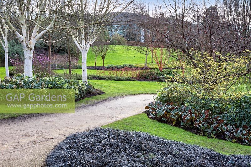 Colourful Winter view at The Savill Garden, Surrey.
