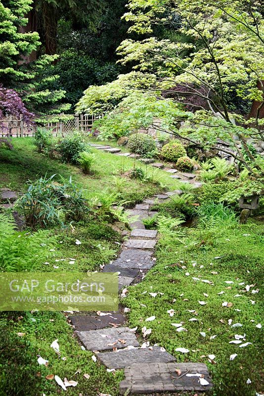 Path through the Japanese garden, Tatton Park, Cheshire.