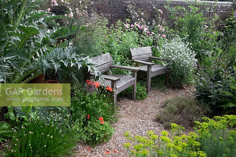 Oak chairs in walled gravel garden with  Cardoon, Euphorbia seguieriana ssp niciciana, self sown Opium Poppy, Lychnis coronaria 'Alba' - Rose Campion, red wild Poppies, rambling roses, Thyme and Sedum matrona.