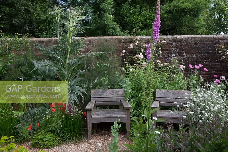 Oak chairs on gravel pathway in walled border with Cardoon, Digitalis purpurea, bronze Fennel,  self sown Opium Poppy, Lychnis coronaria - rose campion, red wild Poppies, rambling roses and Sedum matrona.