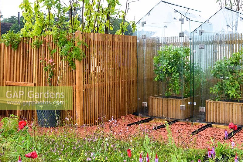 Excess water runoff and damp meadow planting in front of modern glasshouses - RHS Garden for a Changing Climate - RHS Chatsworth Flower Show 2017. Designer: Andy Clayden, Dr Ross Cameron