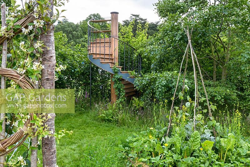 Woven wicker fence with flowering Trachelospermum jasminoides - star jasmine. Belmond Enchanted Gardens - RHS Chatsworth Flower Show 2017 - Designer: Butter Wakefield - Gold - People's Choice