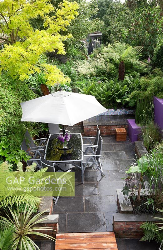 Small modern urban garden full of exotics with decking walkway over slate paving. Robinia pseudoacacia 'Frisia', metal table and chairs with a border of Ferns, Matteuccia struthiopteris, Equisetum japonicumon - Horsetail -  in raised pond.