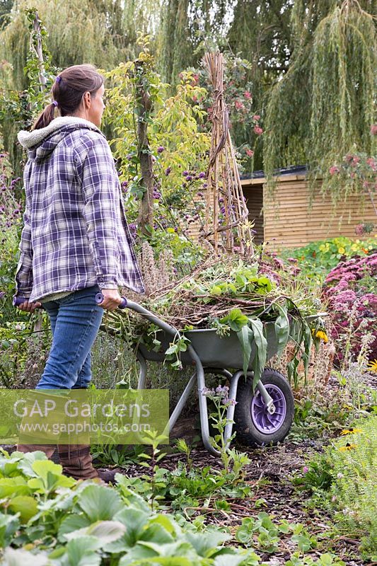 Woman pushing wheelbarrow for Autumn tidy