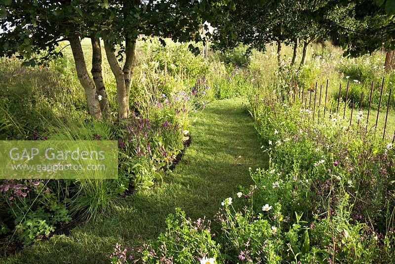Natural path amongst flowering borders with Astrantia 'Burgundy Manor' and rusted rebar fence. The Brewin Dolphin Garden at RHS Chatsworth Flower Show 2017. Design: Jo Thompson