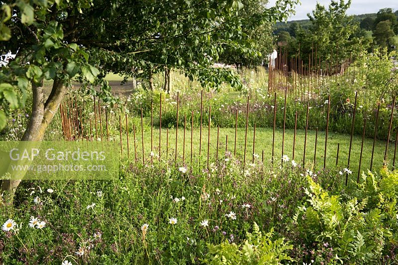 Rusted rebar fence surrounded by summer flowers. The Brewin Dolphin Garden at RHS Chatsworth Flower Show 2017. Design: Jo Thompson