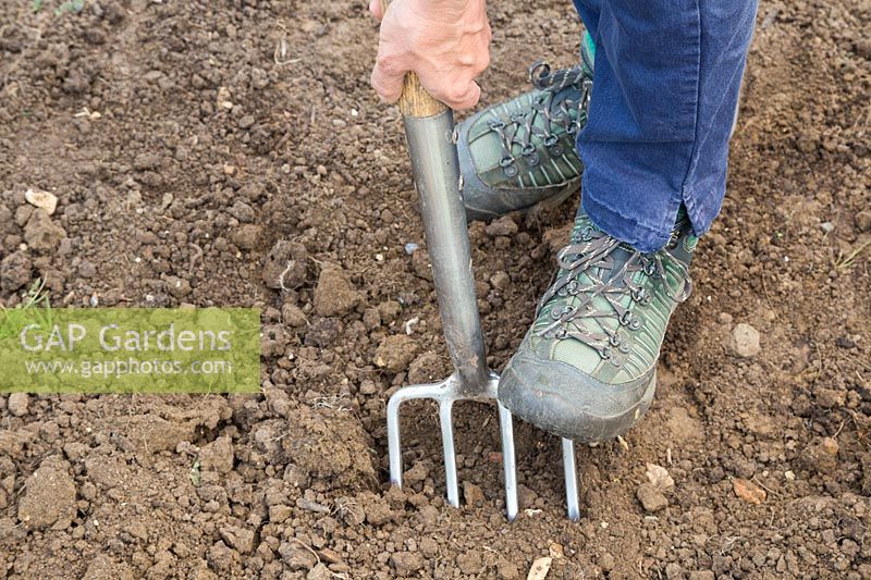 Woman digging over bed of soil with fork