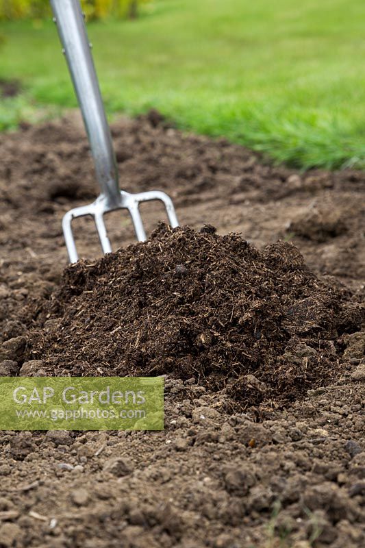 Adding fresh manure to soil 