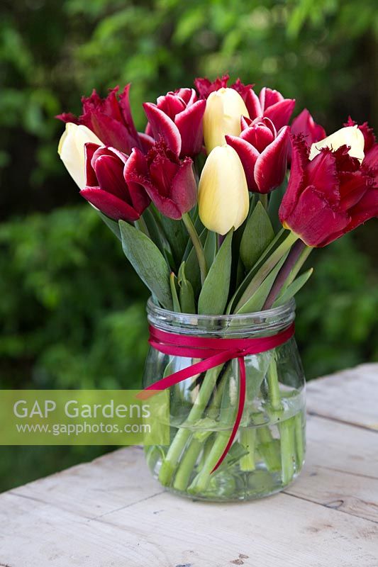 Floral arrangement in glass vase with Tulipa 'Armani, Tulipa 'Curly Sue' and Tulipa 'Vanilla Cream'