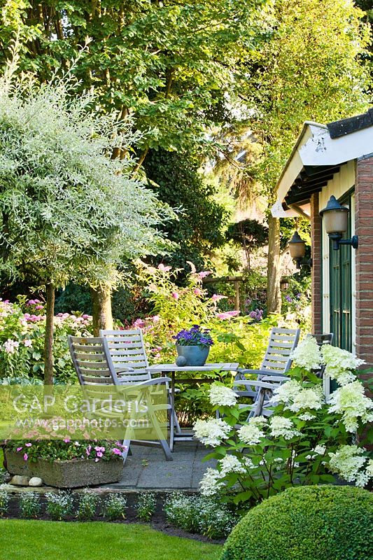 Relaxing area on a patio. Hydrangea paniculata Phantom, Euphorbia inneuphdia, Salix. Design: Laura Dingemans
