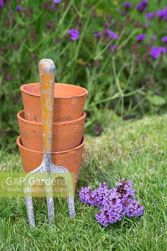 Teracotta pots and a rustic hand fork on grass with Verbena