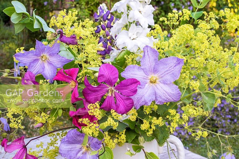 Summer floral arrangement with Clematis, alchemllia mollis and delphiniums