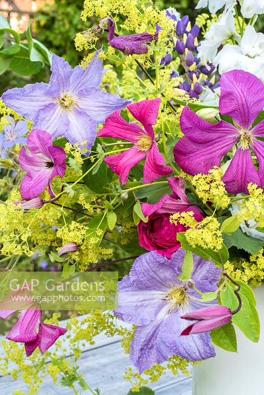 Summer floral arrangement with Clematis, alchemllia mollis and delphiniums