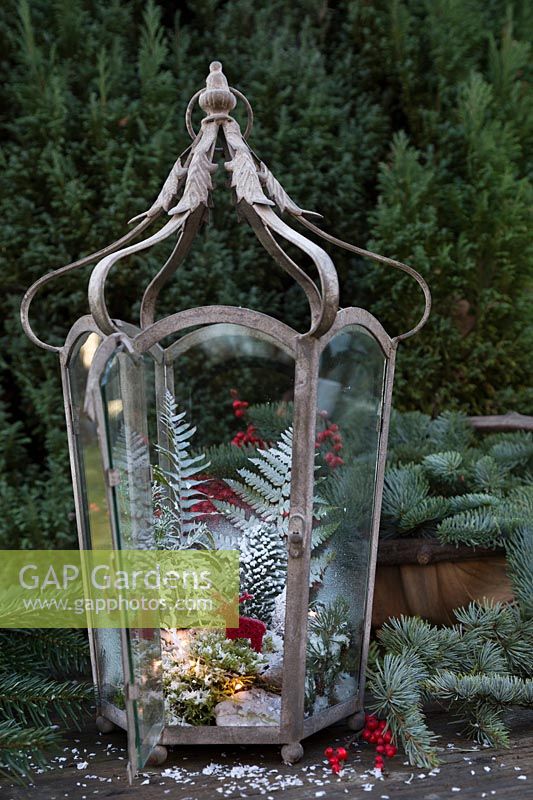 Minature winter wonderland inside vintage lantern with ferns
