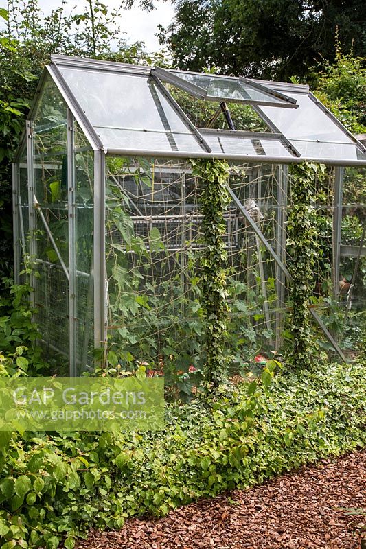 A greenhouse situated in the vegetable plot of the garden