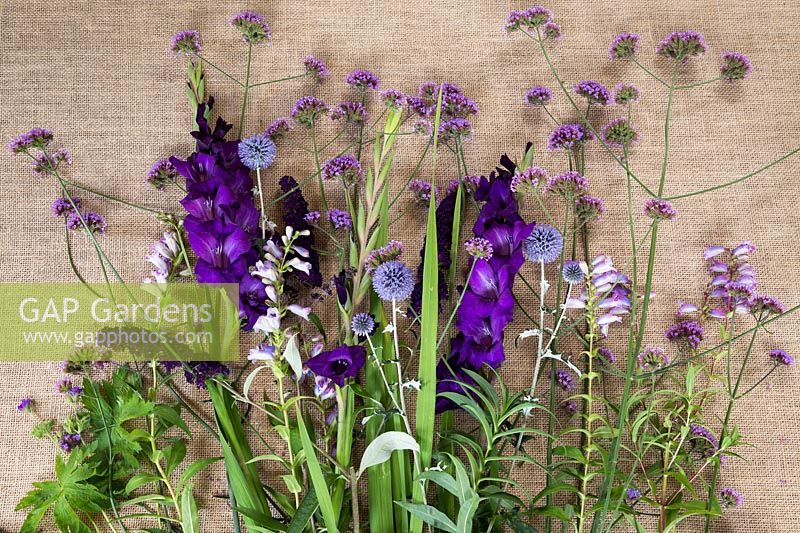 Verbena bonariensis, Penstemon 'Sour Grapes', Buddleia, Echinops ritro and Gladiolus 'Purple Flora' on hessian sheet