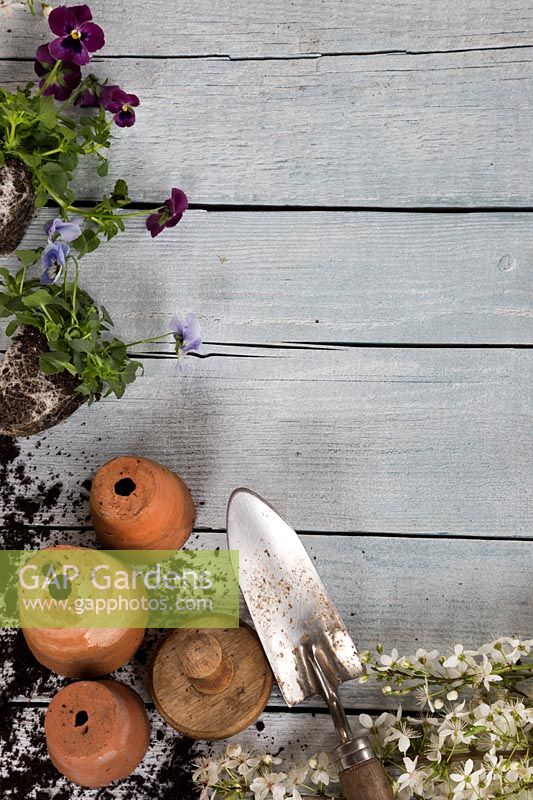 Decorative Spring border with blossom on wooden surface