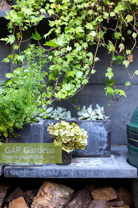 Plants arranged around bbq area. The Big Green Egg company barbecue in Abigail Ahern designer - Hackney garden London 